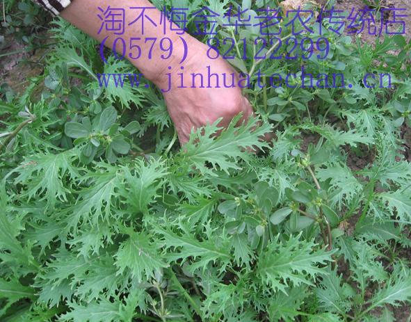 江南名菜 霉干菜的前世今生-家常菜-19楼私房菜