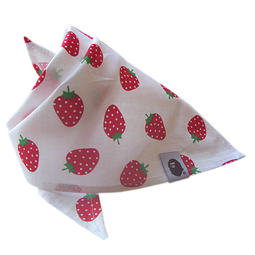 女儿的漂亮三角巾@-孩爸孩妈聊天室-杭州19楼