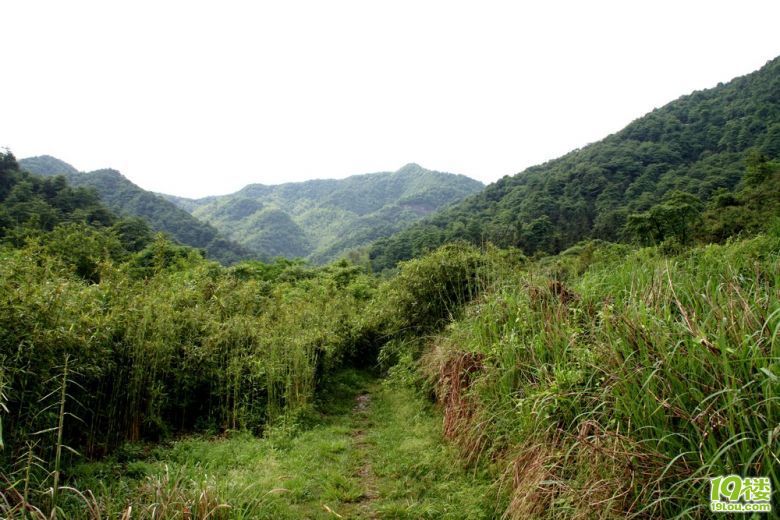 古道西风瘦马,断肠人在天涯-旅游先遣队-杭州1