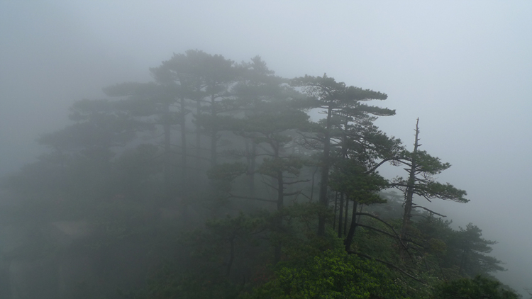 超级大片--强穿原始森林之东海大峡谷-行行色色