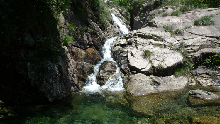 超级大片--强穿原始森林之东海大峡谷-行行色色
