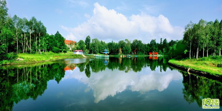 洋葱去除甲醛等异味,相当有效。 切记-装修大本