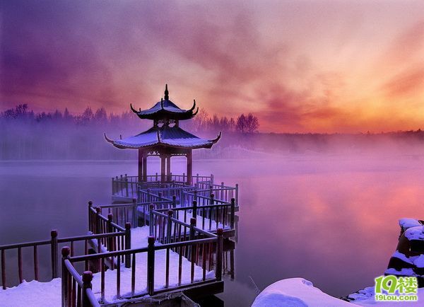 洋葱去除甲醛等异味,相当有效。 切记-装修大本