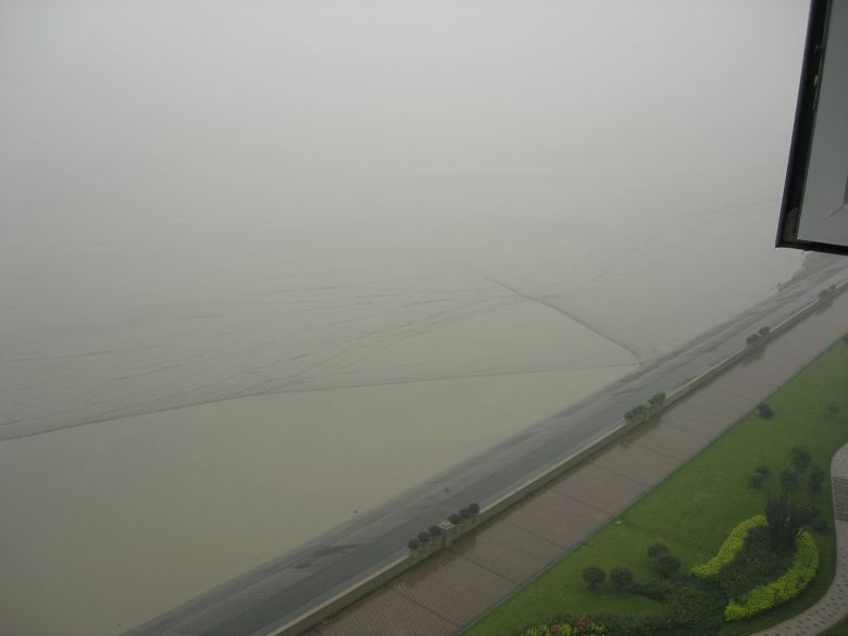 从清洁工到疯狂的黄蚬,充实的一天~-美食俱乐