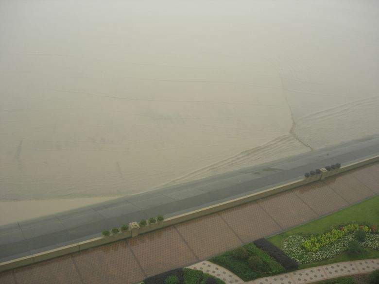 从清洁工到疯狂的黄蚬,充实的一天~-美食俱乐