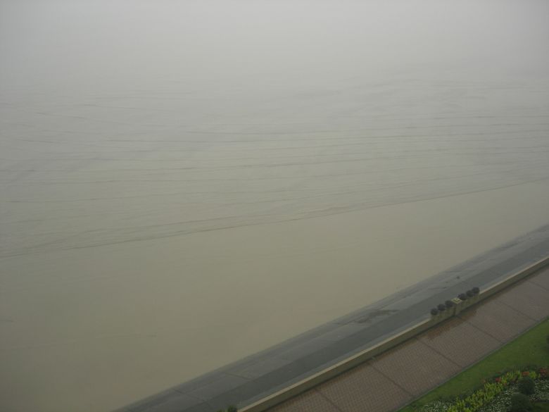 从清洁工到疯狂的黄蚬,充实的一天~-美食俱乐