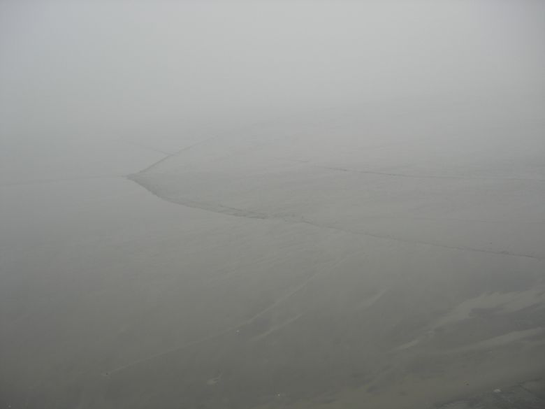 从清洁工到疯狂的黄蚬,充实的一天~-美食俱乐