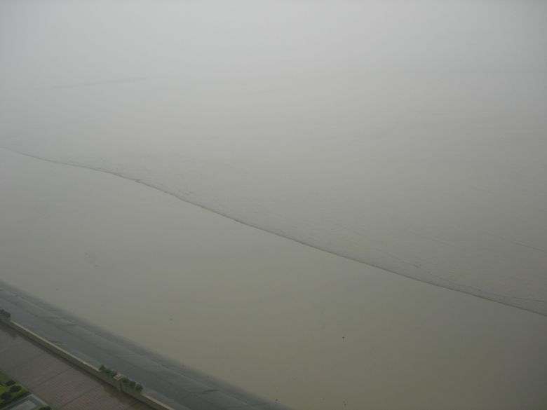 从清洁工到疯狂的黄蚬,充实的一天~-美食俱乐