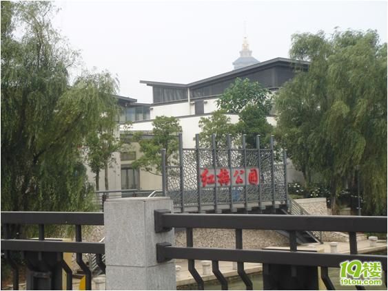 【直播】杭州-宜兴-无锡-上海,骑车400公里,我