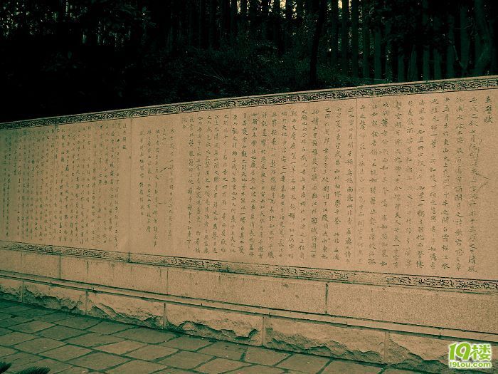 【直播】杭州-宜兴-无锡-上海,骑车400公里,我