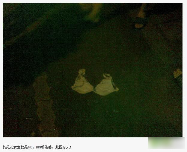 2010高考分数线落定 华科毕业生大狂欢-大学生