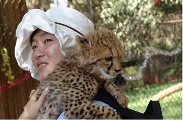 世界杯,让我有了去非洲的冲动了!-结伴同行-杭