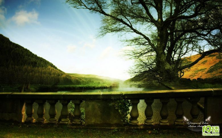 今天我上班途中做了回孤胆女英雄-草根消息