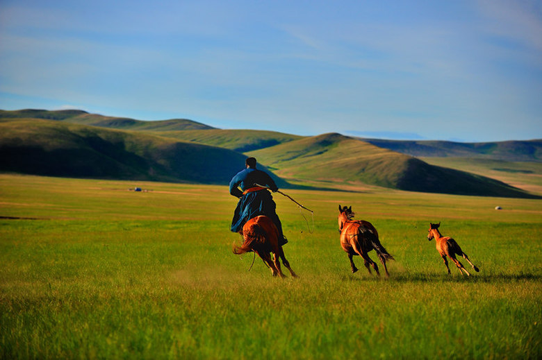 套马杆的汉子!-19摄区-杭州19楼