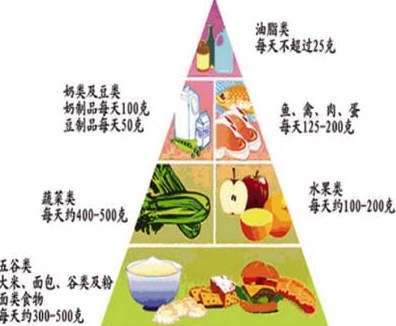 健康饮食金字塔-健康杂谈-健康之家-杭州19楼