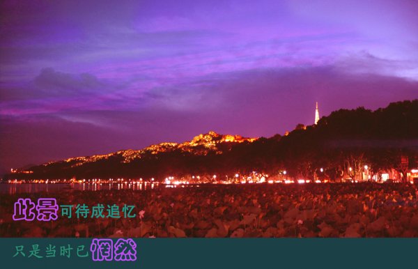 沉醉的中秋