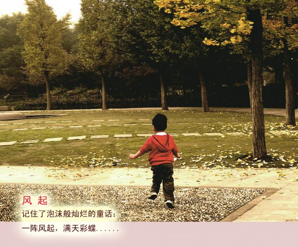 黃葉/紅葉的初冬