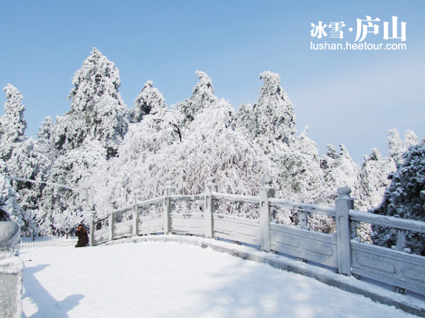 2010中国十大冬季摄影最佳目的地-庐山雪景