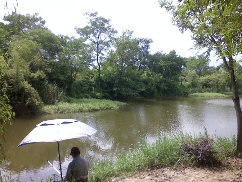 有毒的虫子爬满了“她”的身上，该怎么拯救“她”?续