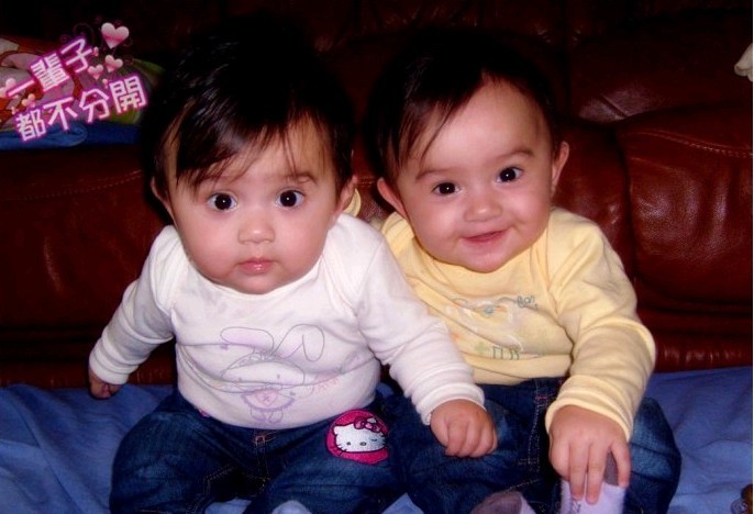 中法混血双胞姐妹花-业委会交流区-杭州19楼