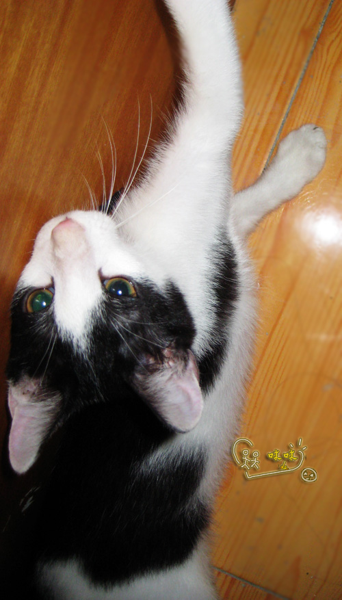 纪念帖-大爷的第二个夏天