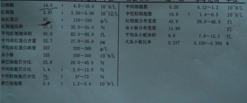 血常规检查高高低低箭头有8个,郁闷-准妈妈论