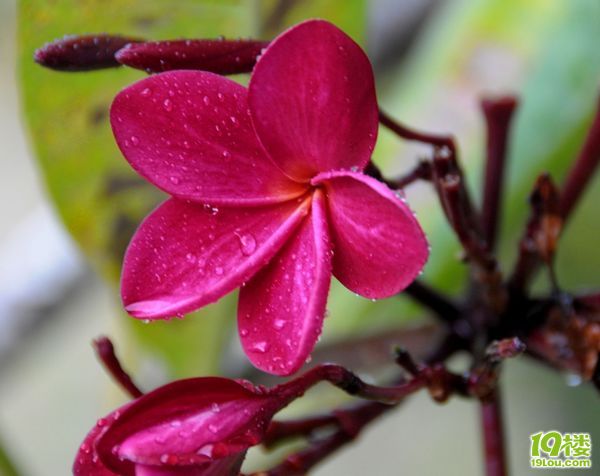 我最爱的出游地---我坐在这里看时间流过-播报