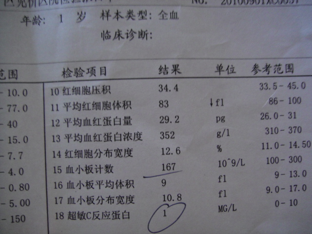 6个月宝宝发烧39.5度怎么办-育儿问答-杭州19