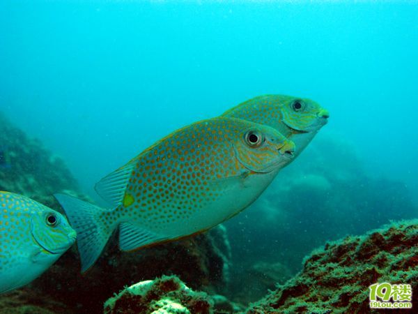 我最爱的出游地---我坐在这里看时间流过-第4页