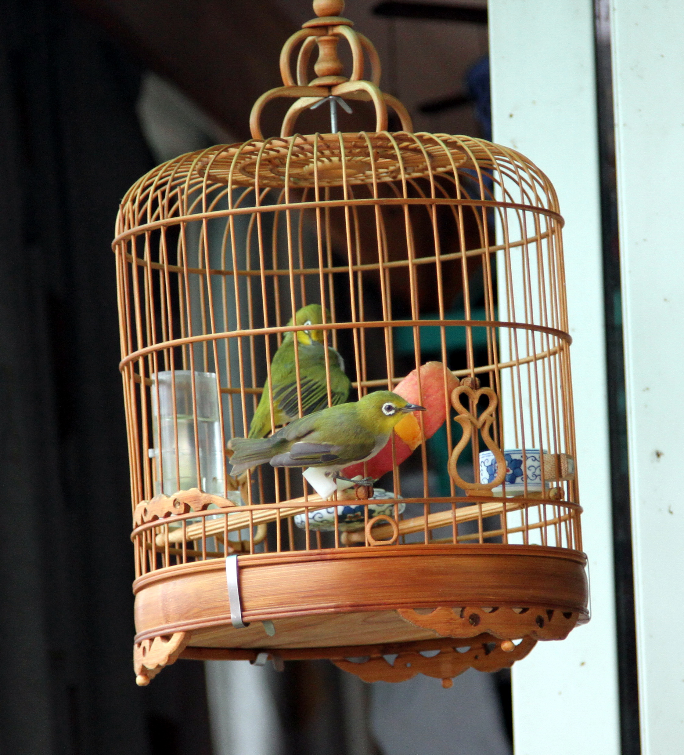 鸟笼厂家专注为养鸟者批发定做多种款式规格的竹制鸟笼-阿里巴巴