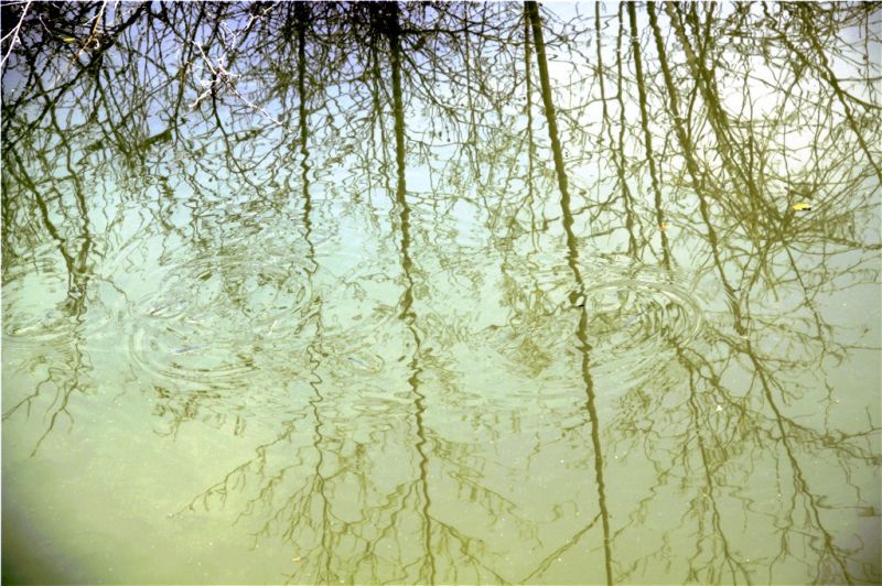 无主题风景照-19摄区-杭州19楼