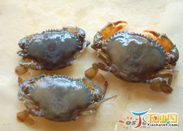 正宗三门锯缘青蟹(包肥、包活)-闲置二手交易(