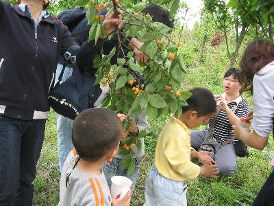 2010年海皇星生态乐园 亲子游 幼儿园秋游活动