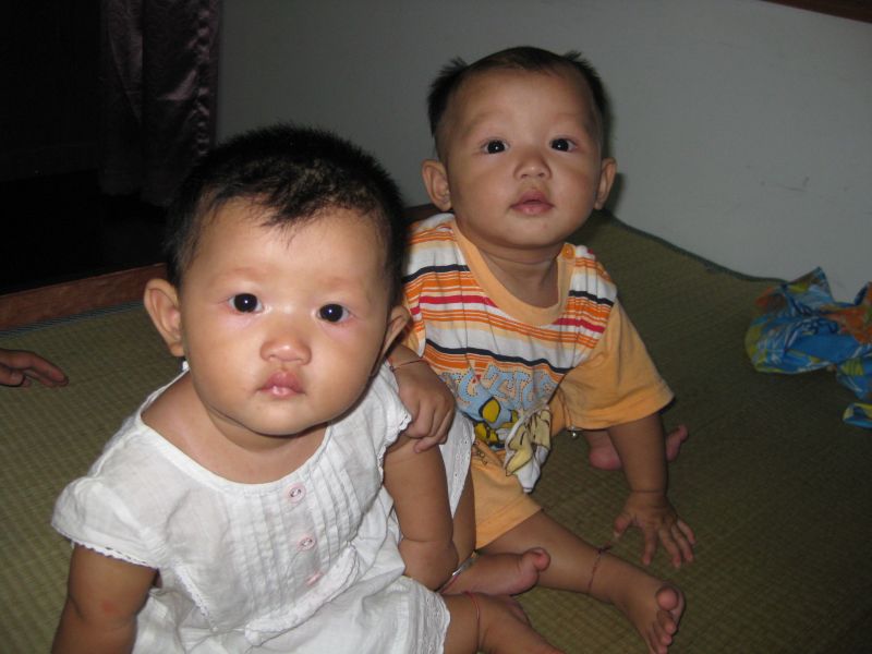 家有儿女 猜成语_杨紫家有儿女(3)