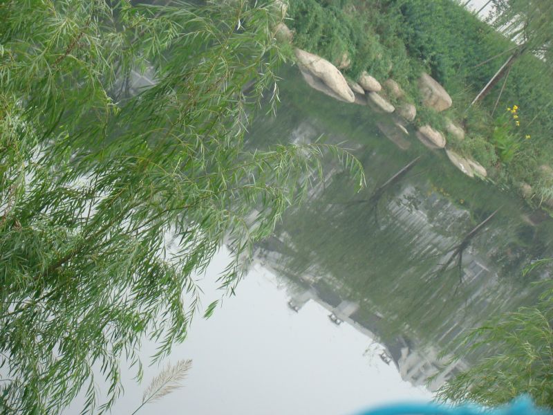 我们身边的环境跟生活在臭水沟有何区别?-婚姻