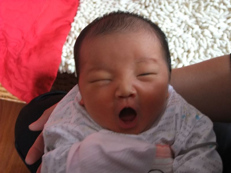 我家小老虎的<em>河东狮吼</em>-妈咪<em>宝宝</em>秀-杭州19楼