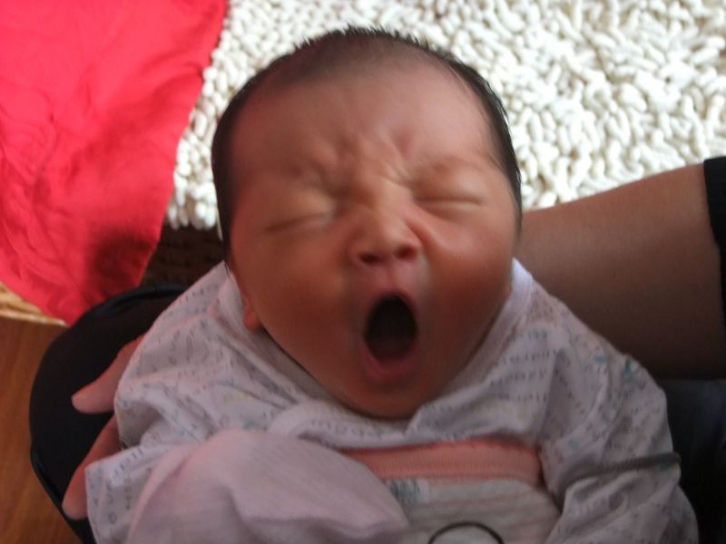 我家小老虎的<em>河东狮吼</em>-妈咪<em>宝宝</em>秀-杭州19楼
