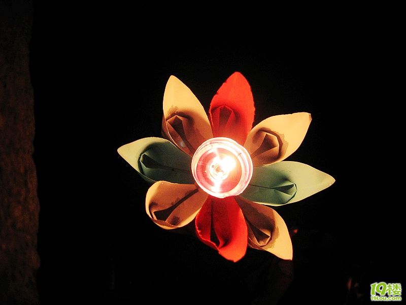 【我在西塘天气晴】