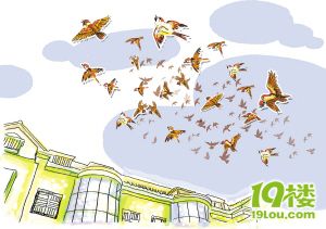 是不是灾害先兆?-转贴之王-杭州19楼