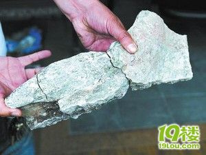 东阳发现了国内最完整甲龙化石-早知道-杭州1