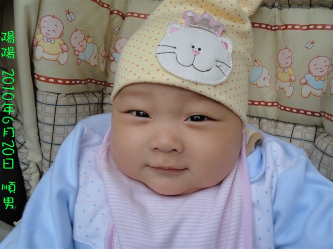 秀秀虎妈咪群的虎宝宝