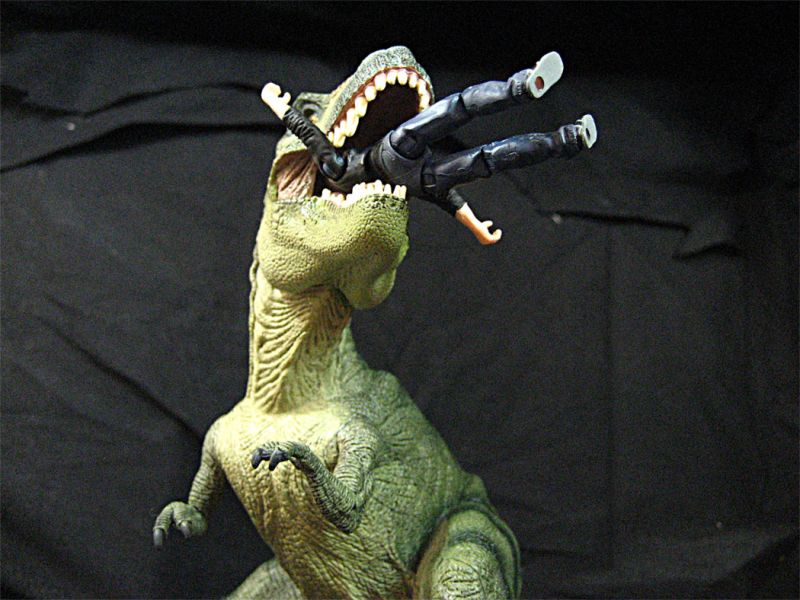 卡片机拍的,大家轻拍。。。侏罗纪公园,恐龙吃人-19摄区-杭州19楼