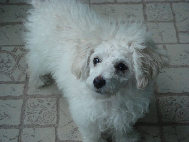 三岁白贵美眉找帅哥啦~~