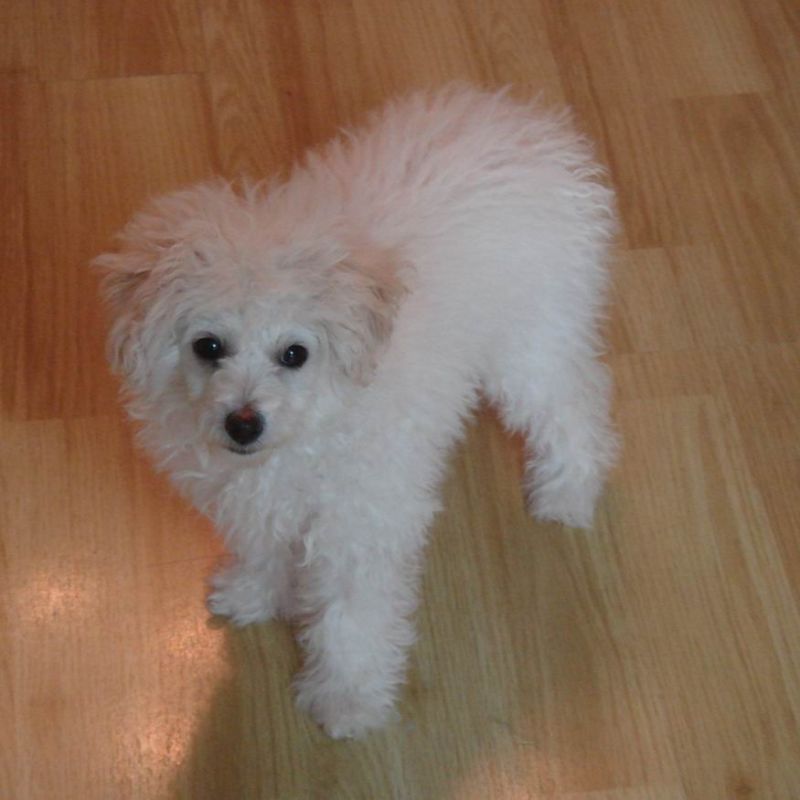 三岁白贵美眉找帅哥啦~~