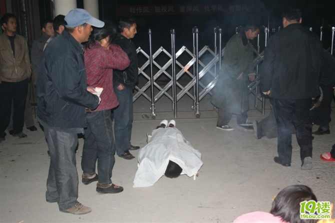 新沂棋盘生物打架事件初中-转贴之王-杭州19楼好处中学的死人图片