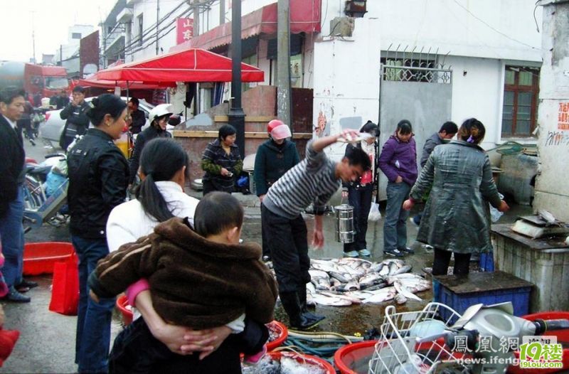 苏州11岁杀鱼弟走红网络 媒体公布组照[高清