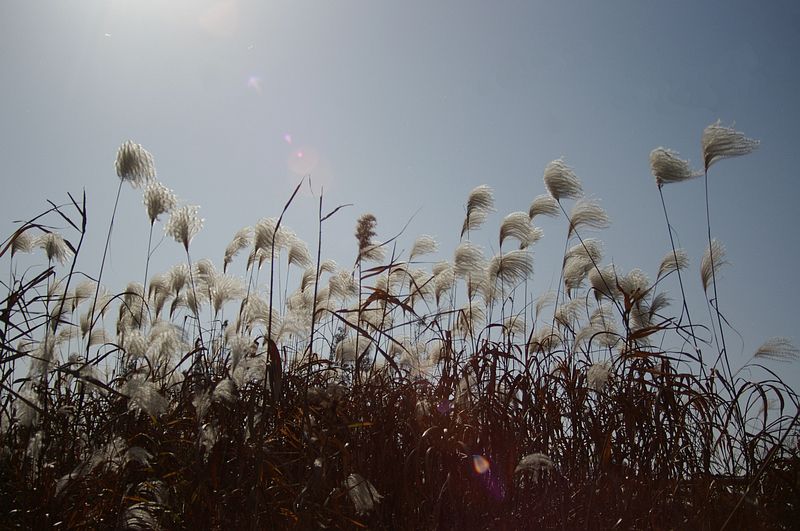 垒起七星灶,铜壶煮三江!-19摄区-杭州19楼
