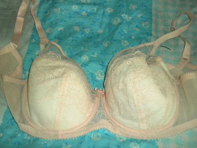 减肥后闲置泳衣(全新),古今、芬狄诗<em>胸罩</em>,现外