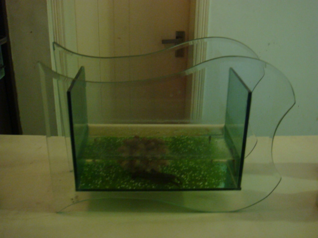 搞卫生了,出点家居用品,有需要打进来看看,定期