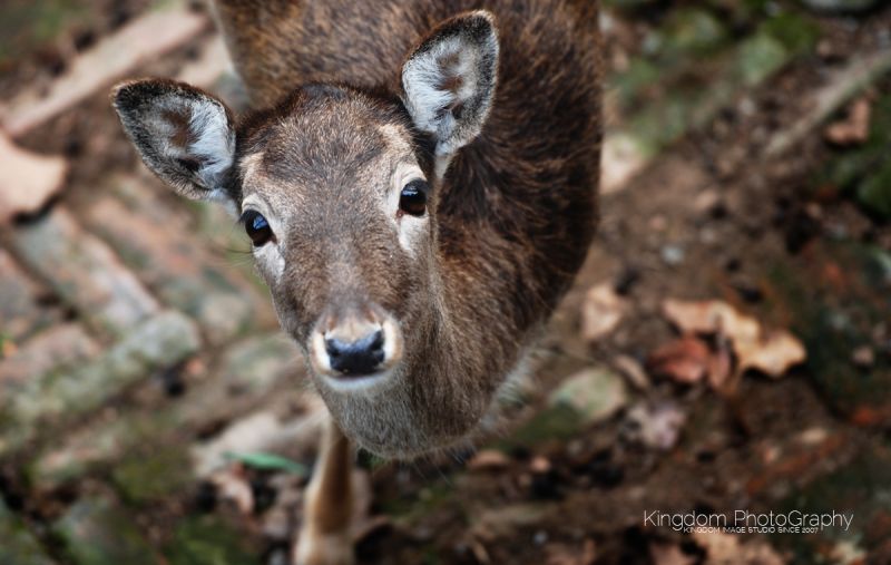 阔别已久的动物园-19摄区-杭州19楼